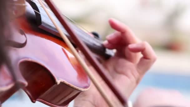 Уличный музыкант играет на скрипке — стоковое видео