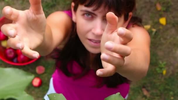 Ktoś w gałęziach drzewa zbieranie brzoskwiń i wyrzucanie ich do kobiety — Wideo stockowe