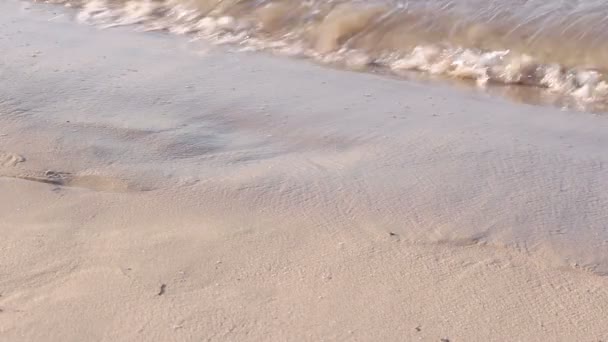 Mutter hilft ihrem kleinen Sohn bei ersten Schritten am Strand — Stockvideo