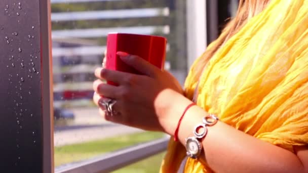 Femme avec une tasse rouge près de la fenêtre regardant par la pluie — Video