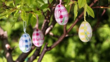 Paskalya yumurtaları ile süslenmiş ağaç