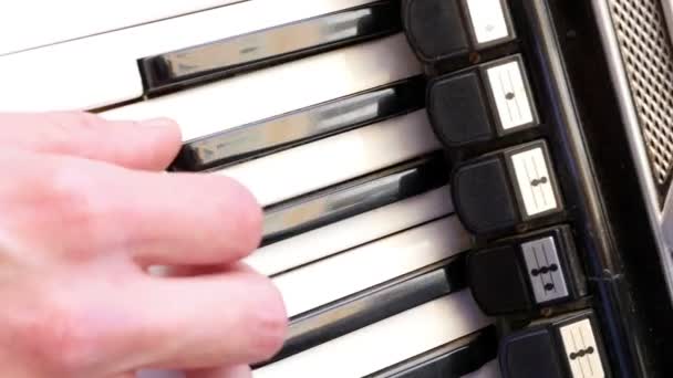 Man plays the accordion, close up — Stock Video