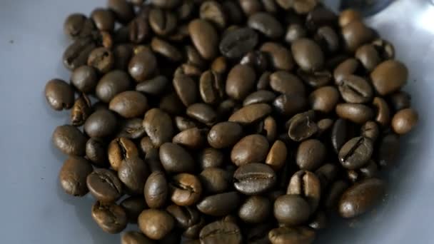 Processen av att mala kaffe i kaffebryggare — Stockvideo