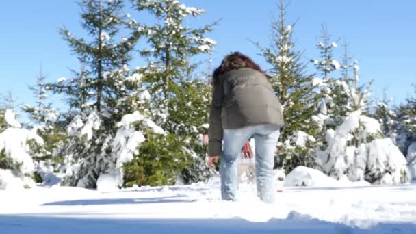 Mother and daughter playing in winter snow, frame in the foreground. The image in the frame is with oil paint effect — Stock Video