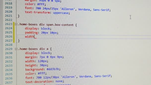 Frontend Developer entre le code css sur son projet 