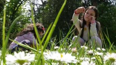 İki kız daysies bir park çayır erken ilkbaharda toplama. Çocuklar için açık havada eğlence