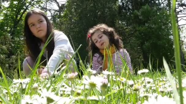 Dos chicas recogiendo días en un prado del parque a principios de primavera. Recreación al aire libre para niños — Vídeo de stock