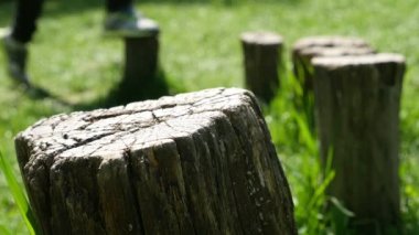 Çıplak ayak üzerinde kütükleri doğada, sadece ayak Dengeleme