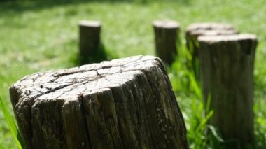 Kütükleri doğada, sadece ayak Dengeleme çocuk