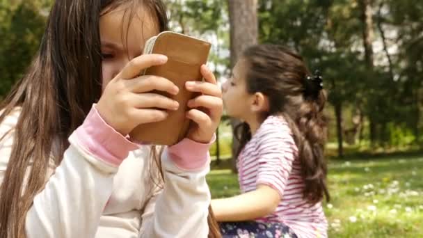 Duas meninas jogando jogos no computador tablet e telefone sentado no parque — Vídeo de Stock