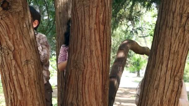 Dos niñas y un niño se muestran detrás de las ramas de los árboles y sonriendo. Recreación al aire libre para niños — Vídeos de Stock