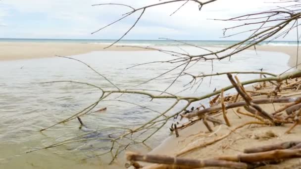 Ein Fluss fließt ins Meer, Dolly — Stockvideo