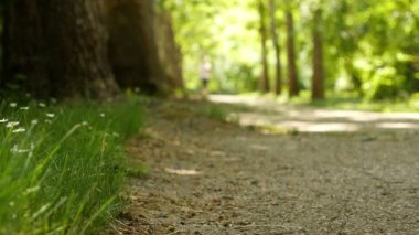 Koşu / Park'ta çalışan bir kadın