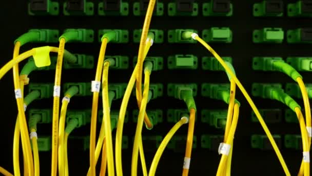 Cables y conexiones en el servidor de red, dolly — Vídeo de stock