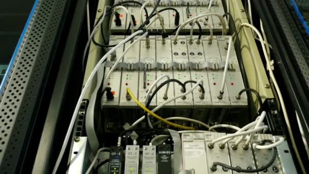 Câbles et connexions sur serveur réseau, dolly 