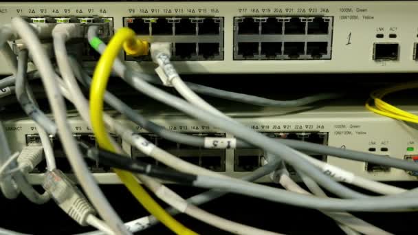 Luci e connessioni sul server di rete — Video Stock