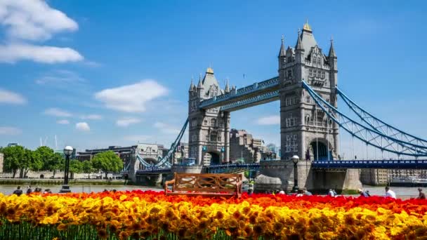 Timelapse tiro de Tower Bridge em Londres em um belo dia de verão com gerberas na frente — Vídeo de Stock