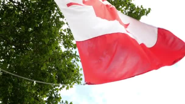 Canadese vlag zwaaien in een winderige dag — Stockvideo