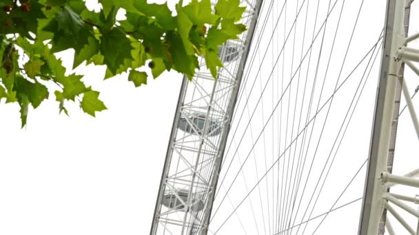 Millenie hjulet, London Eye, kamera under den — Stockvideo