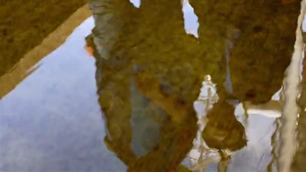 Réflexions de l'oeil de Londres et des personnes passant par une flaque d'eau près de lui — Video