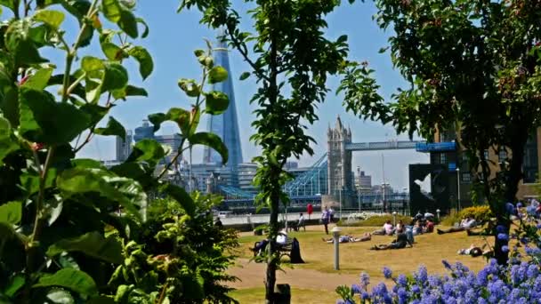 UNITED KINGDOM, LONDON - 18 июня 2015 г.: Люди, отдыхающие в парке в Лондоне, Тауэрский мост и The Shard на заднем плане — стоковое видео