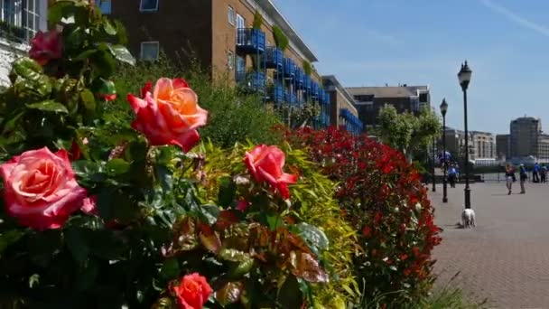 Estilo de vida de Londres. Vista al centro de negocios Canary Wharf desde una zona residencial de Londres — Vídeos de Stock