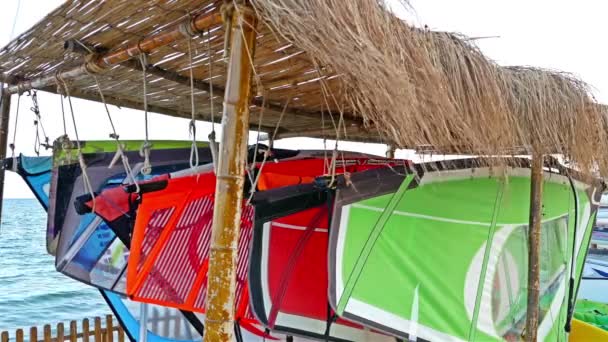 Windsurfing gear hanging on a sea beach — Stock Video