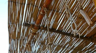 İpleri reed sığınak altında sallanan