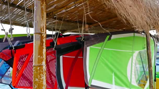 Equipo de windsurf colgado en una playa de mar — Vídeo de stock