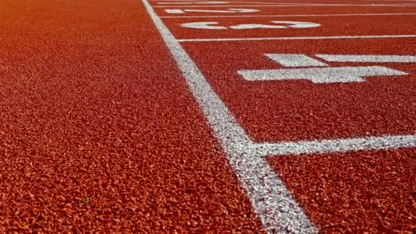 Trilha de corrida com pistas em um estádio, boneca — Vídeo de Stock