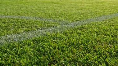 Köşe noktası yakınındaki bir stadyum futbol sahasında Dolly