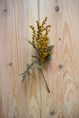 Yellow dried flowers on a wooden background, the beauty of nature forever