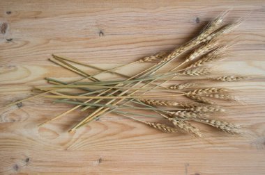 Dried spikelets on a wooden background, nature and harvest