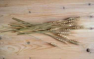 Dried spikelets on a wooden background, nature and harvest