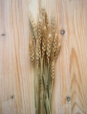 Dried spikelets on a wooden background, nature and harvest