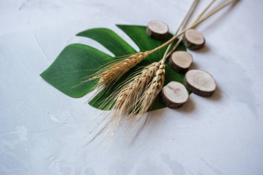 Wheat ears on a gray background with a green leaf, healthy food, an ingredient for bread and flour