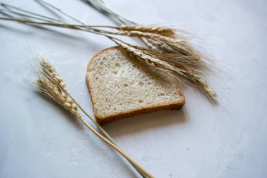Gri arka planda buğday kulakları, sağlıklı yiyecekler