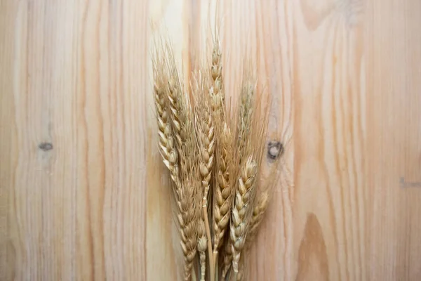 Dried Spikelets Wooden Background Nature Harvest — Stock Photo, Image
