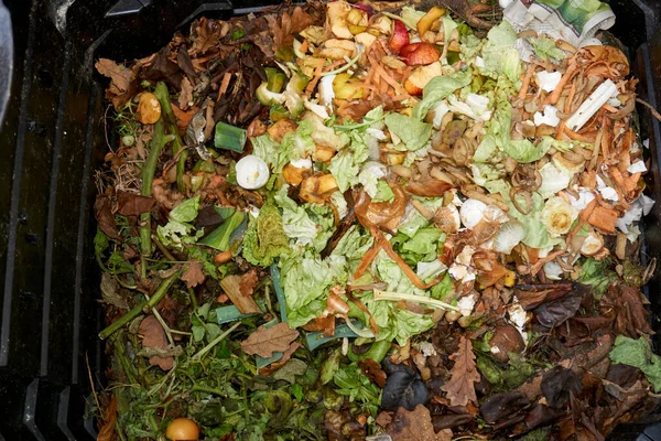 Compost Bin Com Restos Alimentos Cortes Grama Fotografia De Stock