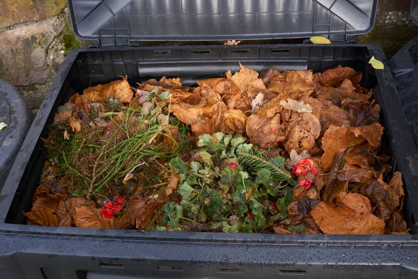 Compost Bin com restos de alimentos e cortes de grama Imagem De Stock