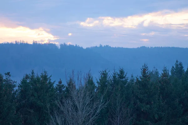 Grönt Eifel Landskap Fotograferat Grå Januari Dag — Stockfoto