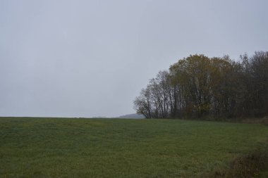 Yeşil Eifel manzarası Gri bir Ocak gününde çekilmiştir.