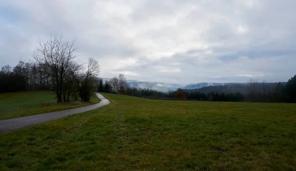 Fechar Floresta Nevoeiro Místico Névoa Baixas Nuvens Penduradas Que Movem Imagem De Stock