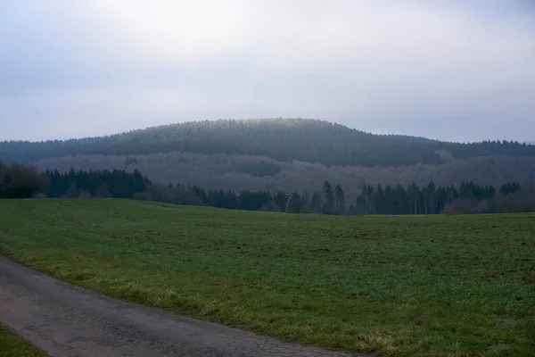 Πράσινο Τοπίο Eifel Φωτογραφήθηκε Μια Γκρίζα Ημέρα — Φωτογραφία Αρχείου