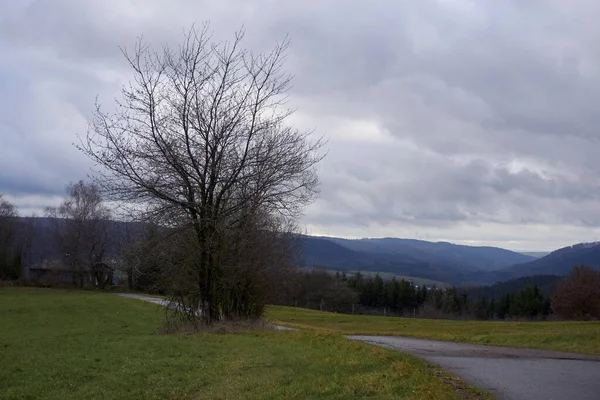 Green Eifel Krajina Fotografované Den — Stock fotografie