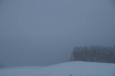 Kışın karlı, sisli ve ağaçlı manzara fotoğrafı.
