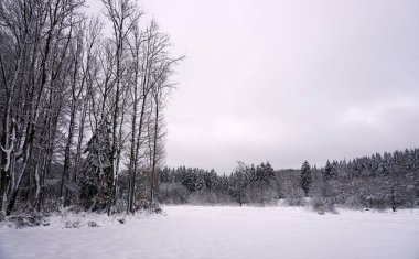 Eifel 'de kışın çekilen manzara fotoğrafı bulutlu bir gökyüzünün altında kar, kozalaklı ağaçlar ve yaprak döken ağaçlar görebilirsiniz.