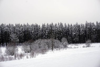 Eifel 'de kışın çekilen manzara fotoğrafı bulutlu bir gökyüzünün altında kar, kozalaklı ağaçlar ve yaprak döken ağaçlar görebilirsiniz.