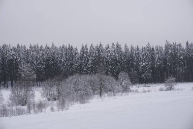 Eifel 'de kışın çekilen manzara fotoğrafı bulutlu bir gökyüzünün altında kar, kozalaklı ağaçlar ve yaprak döken ağaçlar görebilirsiniz.
