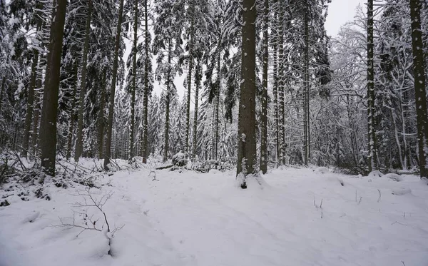 Пейзаж Фото Зимой Эйфеле Германия Облачным Небом Можете Увидеть Снег — стоковое фото
